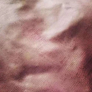 BELUDRU FDY BELAKANG BARU